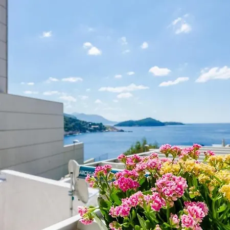 & Lady O - Studio With Terrace And Sea View 公寓 *