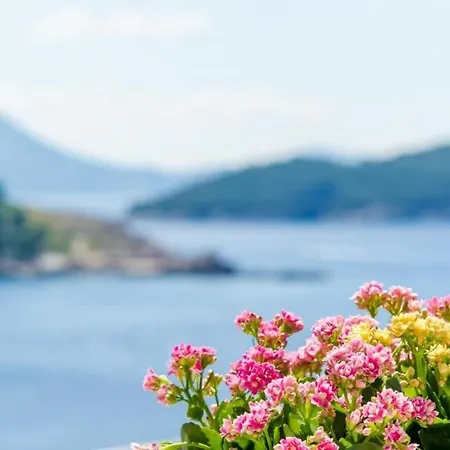 & Lady O - Studio With Terrace And Sea View Dubrovnik